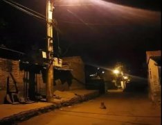 記憶中的老街巷口，有沒有一條等你回家的狗？