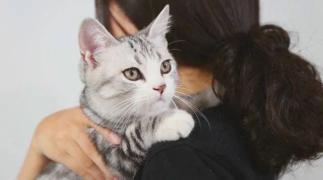 元旦丨新的一年，寵愛有加